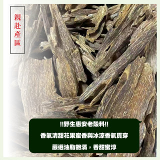 芽莊惠安殼｜24H香環