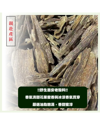 芽莊惠安殼｜24H香環